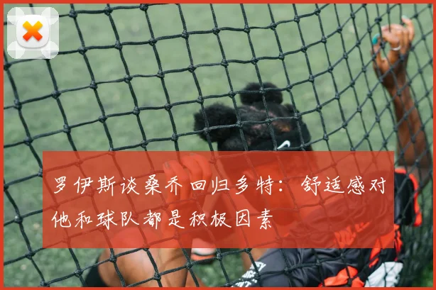 罗伊斯谈桑乔回归多特：舒适感对他和球队都是积极因素